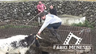 MANUTENÇÃO DO CAMPO E DESPARATIZAÇÃO DE BEZERROS - GANADARIA MJR | 08MARÇO2020