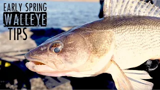 How to Fish Spring Walleyes Like a PRO!