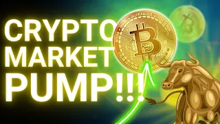 BITCOIN Price PUMPING (Top Altcoins Making HUGE GAINS)