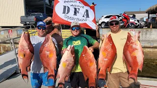 Hunting for Hogfish in the Middle Grounds