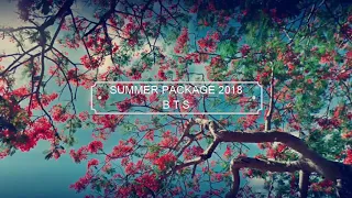 BTS Summer Package 2018 (saipan)