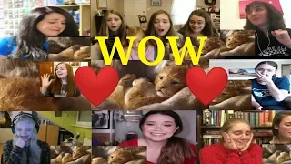 The Lion King Official Teaser Trailer Reaction Mashup by Girls | Reaction | 2019