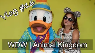 Vlog #16 - Animal Kingdom