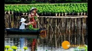 Mekong Delta Tour, Mekong River Tour | Insight Asia Travel