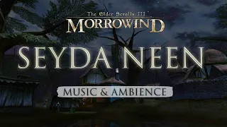 Seyda Neen | Peaceful Evening Morrowind Music & Ambience | 3 Hours