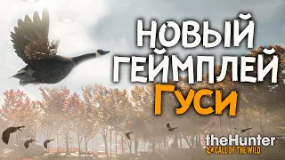 Ты не поверишь! - Быстрые деньги - Прокачка -  theHunter Call of the Wild