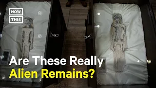Alien Corpses Presented To The Mexican Congress