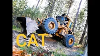 CAT 950 Demo