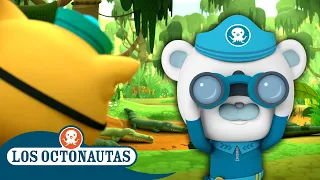 Los Octonautas - ¡Especial de la Semana Nacional de la Vida Silvestre! 🦎🐊 | Episodios Completos