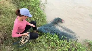 Hunting 60KG Giant Arapaima Fish With Cast Net Fishing!