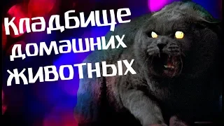 Обзор фильма КЛАДБИЩЕ ДОМАШНИХ ЖИВОТНЫХ