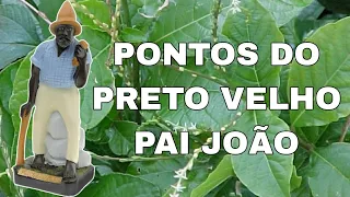 PONTOS DO PRETO VELHO PAI JOÃO (COM LETRAS) || RICK DE OXUM