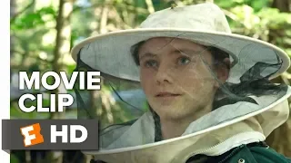 Leave No Trace Movie Clip - Warmth of the Hive (2018) | Movieclips Indie