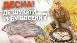 ДЕСНА У ЖОВТНІ. ДЕ ЛОВИТИ РИБУ ФІДЕРОМ ВОСЕНИ. ПОРАДИ ТА СЕКРЕТИ ПРО ШВИДКУ РІЧКУ.