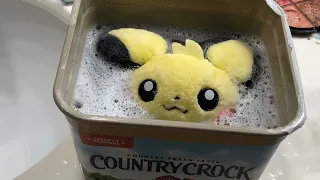 Cleaning Pichu