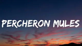 Tyler Childers - Percheron Mules (Lyrics)