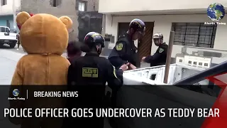 Lima, Peru: Police Officer Disguised As Teddy Bear To Capture Drug Dealer