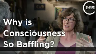 Julia Mossbridge - Why is Consciousness so Baffling?