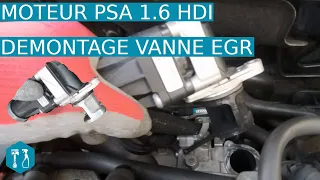 Démontage et nettoyage vanne EGR moteur PSA-Volvo 1.6