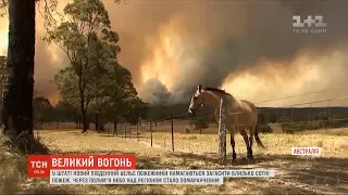 Їдкий дим і жовтогаряче небо: в Австралії палають близько сотні осередків займань