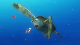 Crush and his son Squirt sea turtles scene (Finding Nemo 2003)