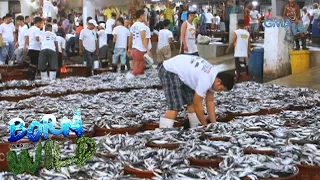 Born to be Wild: Doc Nielsen visits the largest fish port in the Philippines