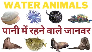 Water Animals - पानी में रहने वाले जानवर