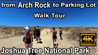 4K Joshua Tree - Walk from Arch Rock to the Parking Lot - Trail Hiking - Virtual Walking Tour