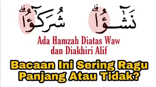 Ada Hamzah Diatas Waw & Ada Alif, Pemula Sering Salah Baca Ini, Pahami Ini Agar Lancar Baca al-Quran