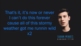 Dont Want Your Love Lyrics   Shawn Mendes