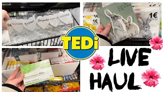 Tedi Live Haul 🛍 // Februar 2023 🎉 // alinaBerry