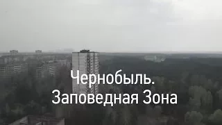 Чернобыль. Заповедная зона