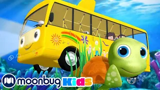 Die Räder vom Bus Unterwasser | Kinderlieder und Cartoons | Little Baby Bum | Moonbug Kids Deutsch