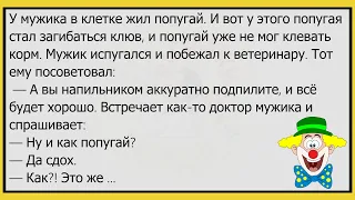 🤡Идёт Молодой Еврей С Новой Девушкой...Сборник Весёлых Анекдотов, Для Супер Настроения!