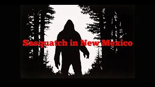 Sasquatch in New Mexico