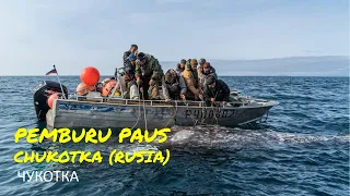 PEMBURU PAUS CHUKOTKA - RUSIA