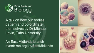 What do bodies think about? | Royal Society of Biology East Midlands branch