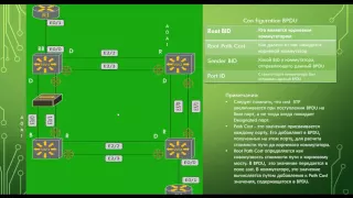 CCIE за год. Основы STP