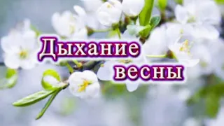 ДЫХАНИЕ ВЕСНЫ//ПЕНИЕ ПТИЦ//РЕЛАКС