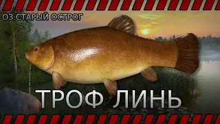 РУССКАЯ РЫБАЛКА 4🔸ТРОФ ЛИНЬ 🔸ОЗ. СТАРЫЙ ОСТРОГ🔸ТАНКИСТ НА РЫБАЛКЕ