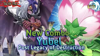 Yu-Gi-Oh! New Combo Yubel Deck | Post Legacy of Destruction | Edopro