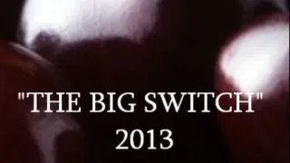 IOG - "The Big Switch" 2013