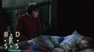 15. "Harry Tells Ron About Hagrid" Harry Potter and the Chamber of Secrets Deleted Scene