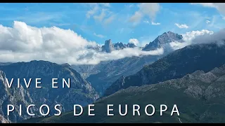 59.900 € - Vivir en los Picos de Europa, Asturias. Apartamento para entrar a vivir !!