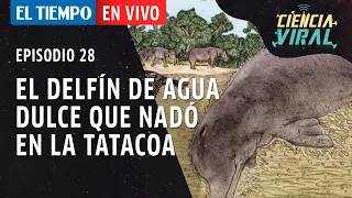 El Tiempo en Vivo #CienciaViral Episodio 28: El delfín de agua dulce que nadó en la Tatacoa