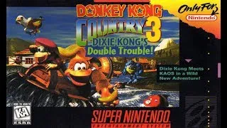 DKC3 103% TAS