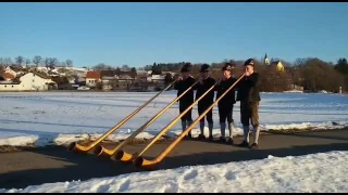 Günztaler Alphornbläser - Egerländer