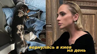 Вернулась в Киев на день | Перелет собакой | Куда дальше?