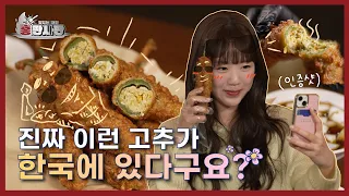 진짜 이런 고추가 한국에 있다구요? l 홍판사판 l EP.05-01 | KBS Joy 240517 방송