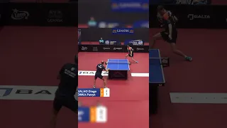 When you miss because of rubber 🤡😂 #shorts #tabletennis
